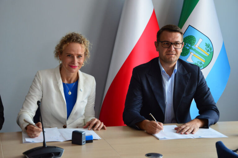 San zostanie ujarzmiony, na razie koncepcja