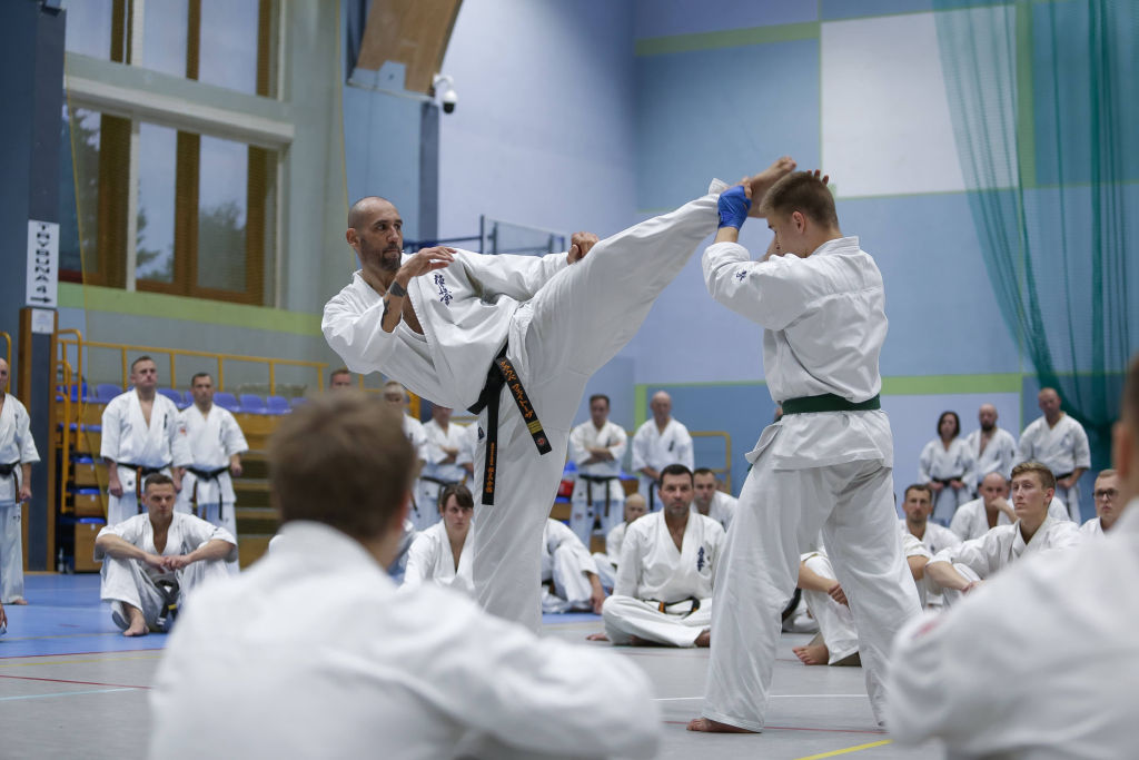 Karatecy Myślenickiej Akademii Karate „Byakko” na wyjątkowym szkoleniu