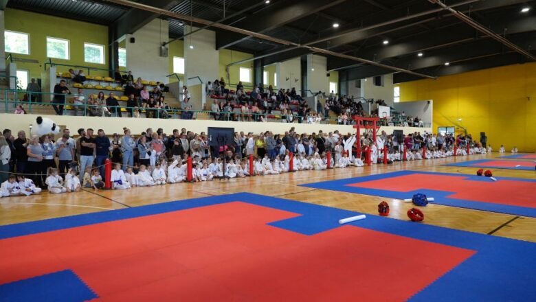 Turniej karate w Sułkowicach (galeria zdjęć)