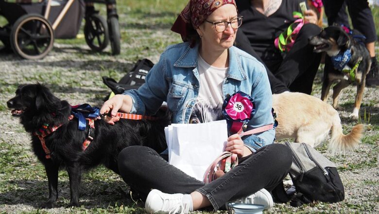 Wystawa Psów Nierasowych na myślenickim Zarabiu (galeria zdjęć)