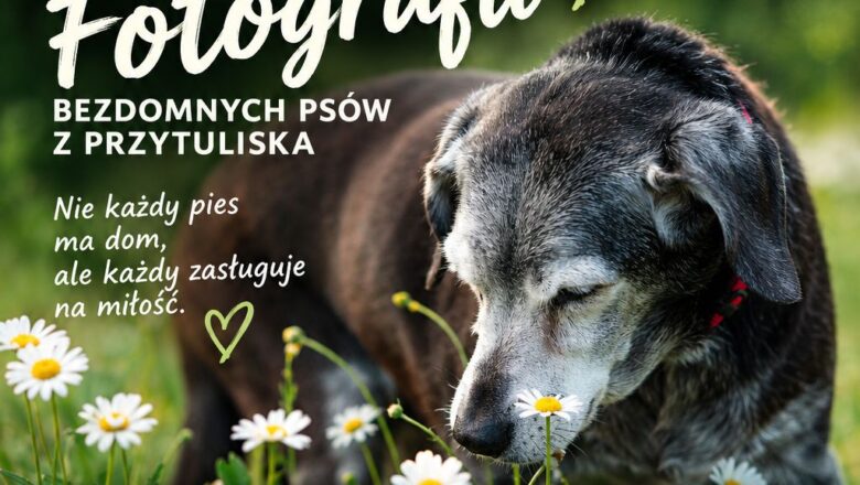 MBP w Myślenicach zaprasza na wernisaż